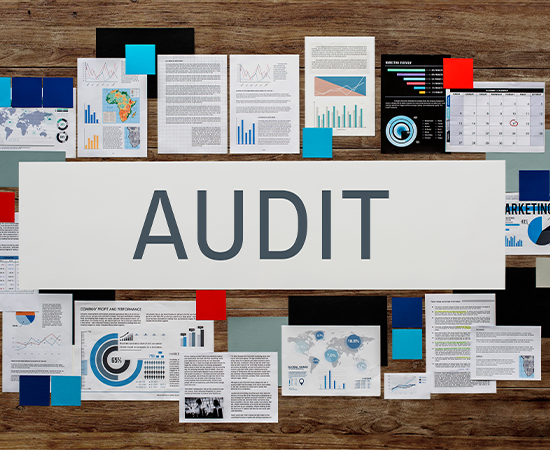 Complete Accounting with Auditing Reports with Warehouse Management Software
